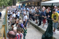 Clicca sulla foto per vedere ingrandimento